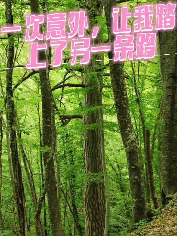 一次意外 作文