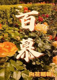 百慕三石的简介