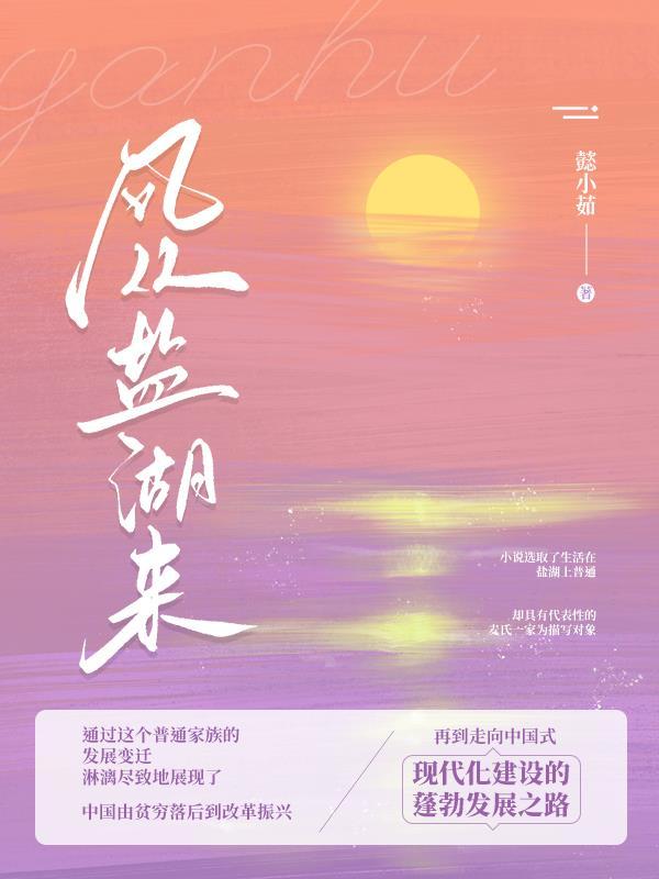 茶卡盐湖风大 怎么办