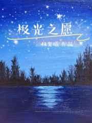 极光之愿剧透