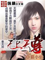无上天尊TXT