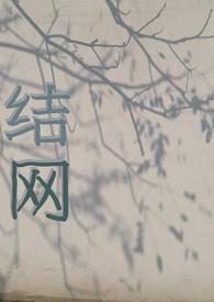 不锈钢烧结网