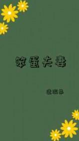笨蛋夫妻by不知名大温柔