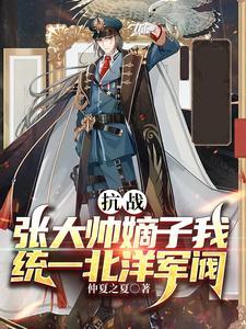 民国张大帅是谁啊
