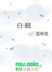 皖l是哪个城市的牌照