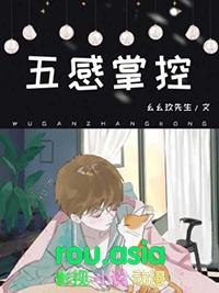 五感掌控 长佩