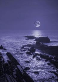 暗夜与黎明多少集