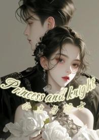 公主与骑士的电影