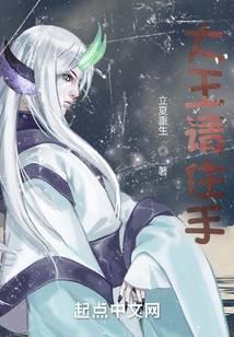 大王请住手几个老婆
