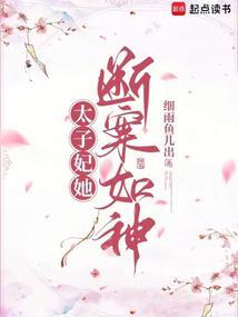 太子妃她断案如神爱下书