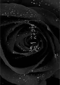 昙花一现什么意思
