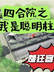 我是傻柱