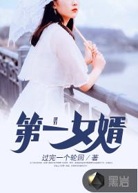 第一女婿免费阅读刘飞