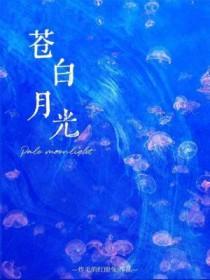 苍白月光by笔趣阁