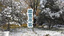 黑狐王身材真心好
