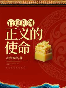 官途利剑正义的使命 第6章