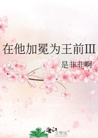 在他加冕为王前 作者是非非啊