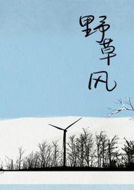 野草风筝表达了什么思想感情