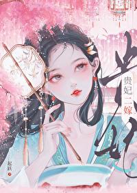 贵妃二嫁辛泽安韩嫣然