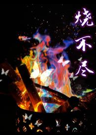 烧不尽阅读