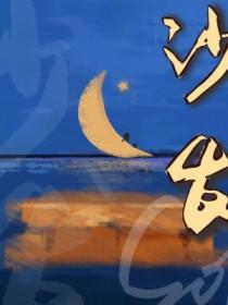 沙发垫