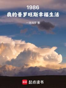 普罗旺斯的视频