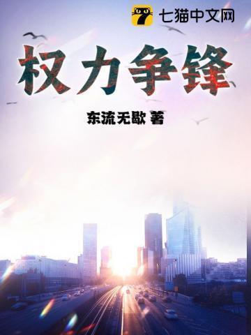 权利争锋阅读