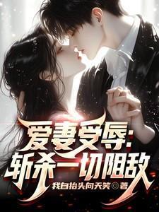 爱妻简介