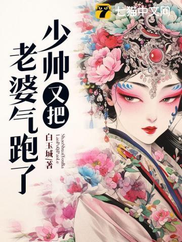 少帅个人老婆又跑了
