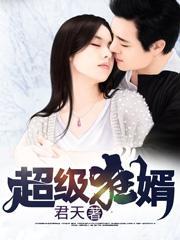超级狂婿免费全文阅读完整版