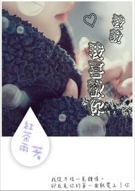 我说我喜欢你 笨蛋