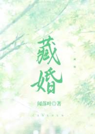 藏婚(先婚后爱)by闻落叶