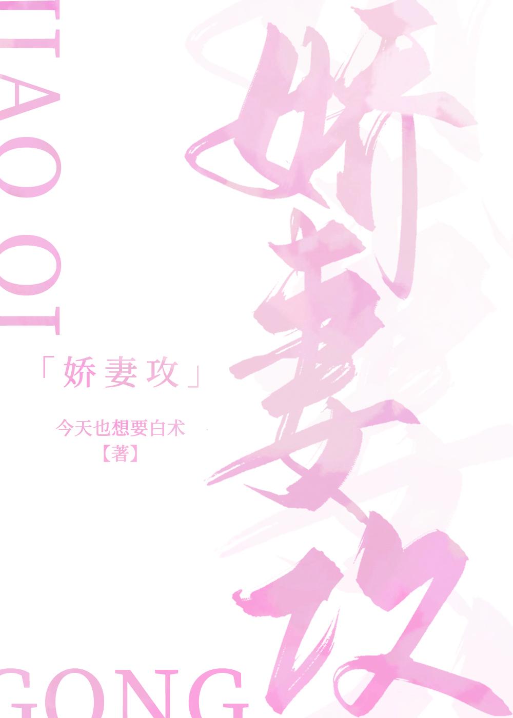 娇妻攻文