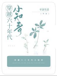 穿越六十年代小知青全集